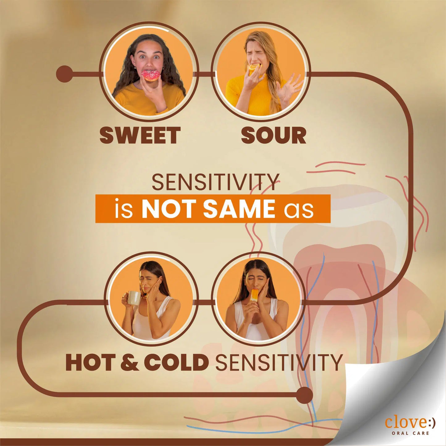 Clove Sensitive for Hot and Cold Sensitivity